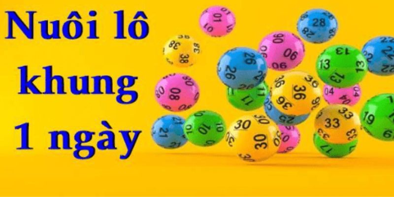 Bí kíp nuôi lô kép khung 1 ngày